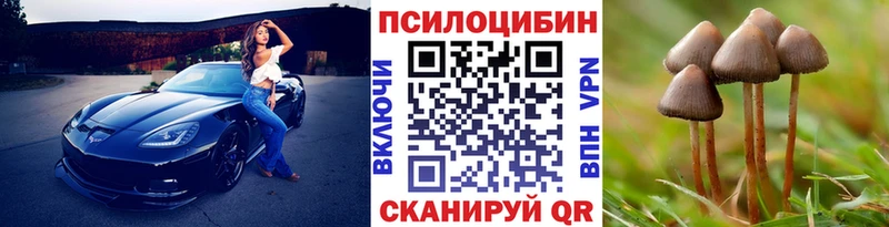 Псилоцибиновые грибы Psilocybine cubensis  Спас-Клепики 
